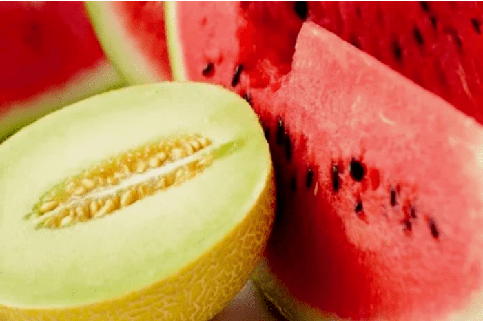 Sandia meloi dieta